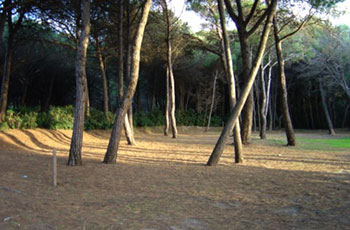Storia di Vita - Quella volta sulla spiaggia - Arezzo Trasgressiva Storia di Vita - Quella volta sulla spiaggia - Arezzo Trasgressiva